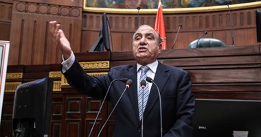 "الإحصاء": 49% نسبة الإناث من السكان و23.5% نسبة مساهمتهن فى قوة العمل