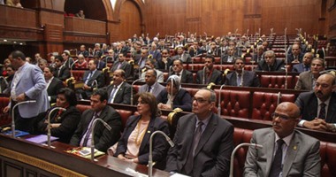 نائب النور بدمياط : نرفض الدولة الاستثنائية ونعلى مصلحة الوطن