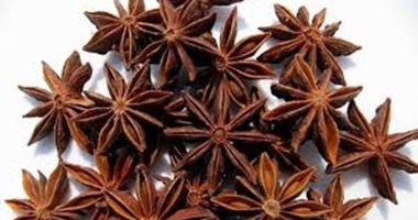 اليانسون النجمى الصينى يعالج الروماتيزم ويساعد على الهضم