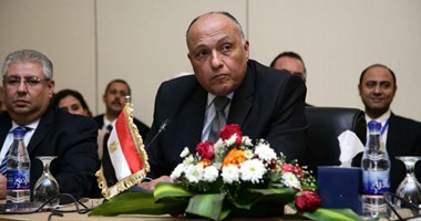 وزير الخارجية: تحديد عدد فتحات سد النهضة قرار فنى وليس سياسيا
