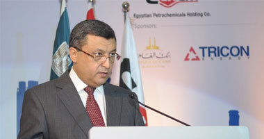 وزير البترول الأسبق: المشكلات الاقتصادية يتم تسييسها