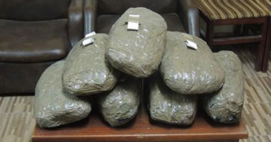 ضبط كميات من المخدرات بحوزة موظفين بالعريش