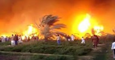 حريق بـ40 فدانًا من النخيل فى قرية سلوا بحرى بأسوان