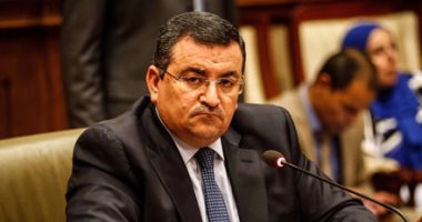 أسامة هيكل: القوات المسلحة تستطيع التخلص من الإرهاب فى ساعة 