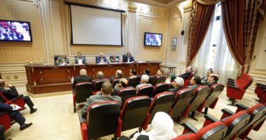 "الداخلية": الأمن الإدارى بنادى مدينة نصر نسق مع ألتراس الأهلى للدخول