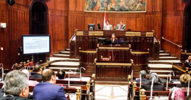 وكيل لجنة الشئون الإفريقية بالبرلمان: الوزارات تعمل منفردة فى ملف إفريقيا