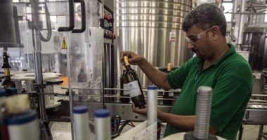 الصين تطلق تحقيقا بشأن مكافحة الدعم على النبيذ المستورد من أستراليا