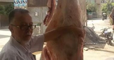إعدام كميات من اللحوم غير صالحة للاستهلاك الآدمى فى حملة صحية بـ"أجا"