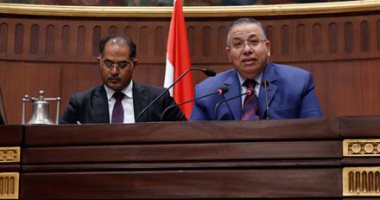 بالصور.. وكيل البرلمان للمقيمين فى الخارج: ارفع رأسك فوق أنت مصرى 