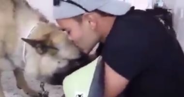 بالفيديو..شرطى إسبانى يسجل وداعه لكلبه المريض قبل قتله بـ"الموت الرحيم" 