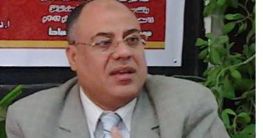 خالد فهمى: لا شبهة فى الحصول على عائد مادى مقابل الدراسات النقدية 