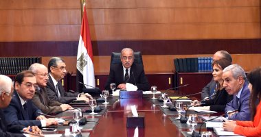 بدء اجتماع وحدة الصين برئاسة شريف إسماعيل