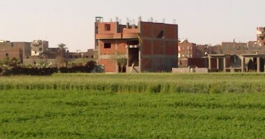 محافظ الغربية: إزالة 12 حالة تعدى فى المهد على الأراضي الزراعية خلال 24 ساعة