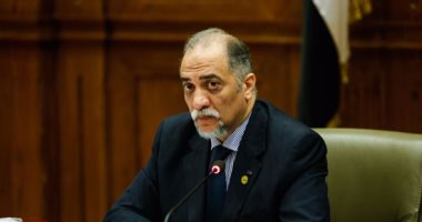 لجنة التضامن بالبرلمان تحسم تشكيل المجلس القومى لذوى الإعاقة