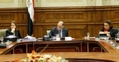 مشروع قانون "ذوى الإعاقة" ينص على معاقبة من يخصى معاقا بالسجن المشدد