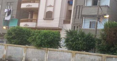 إنارة أعمدة الكهرباء نهاراً فى شوارع سمنود بالغربية