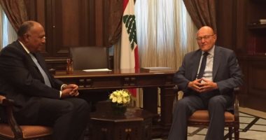 سامح شكرى يبحث مع تمام سلام ونبيه برى سبل تجاوز أزمة الفراغ الرئاسى بلبنان.. رئيس وزراء لبنان: نقدر دور مصر.. ووزراء بالحكومة لـ"اليوم السابع": سعداء لوقوف السيسي معنا رغم انشغالاته