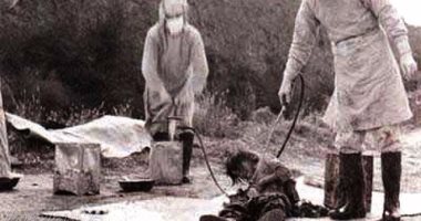 بالصور..تعرف على قصة جرائم الوحدة731 اليابانية وتجاربها على البشر