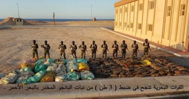 القوات البحرية تضبط 3 أطنان من نبات البانجو على سواحل البحر الأحمر