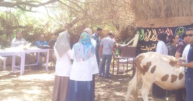 انطلاق القافلة البيطرية بقرى الخارجة وباريس فى الوادى الجديد لفحص المواشى