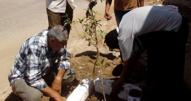 بالصور.. مجلس مدينة الأقصر يرفع 2.5 طن قمامة من حى جنوب المدينة