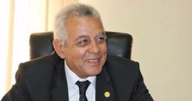 النائب سلامة الجوهرى يشارك فى ندوة "حرب المعلومات" بجامعة قناة السويس الثلاثاء