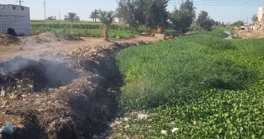 بالصور.. أهالى قرية المحمودية ببنى سويف خارج نطاق الخدمة