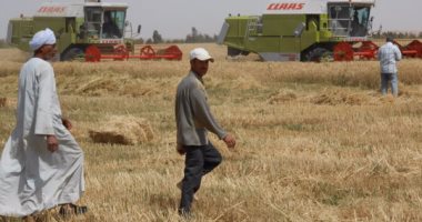 بالصور .. أسوان تتصدر المحافظات فى فرص الاستثمار.. 7 مشروعات تساهم فى ضخ مليارات الجنيهات.. أبرزهم الطاقة الشمسية والثروة السمكية وتوشكى والسد العالى