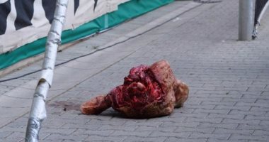   "رأس ثور" تصنع أزمة كبرى فى كأس ألمانيا