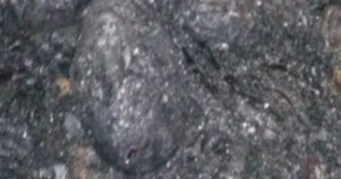 العثور على جثة متفحمة بالطريق الصحراوى الغربى بفرشوط