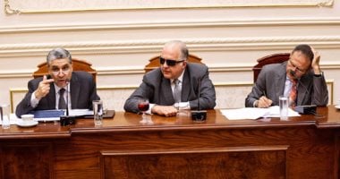 "الكروت الذكية" تدعم "تنكات" محدودى الدخل..برلمانيون يقيمون خطة الحكومة ليصل البنزين لمستحقيه.. أعضاء بلجنة الطاقة:تمنع سرقة الوقود لصالح شركات.. ونائب يطالب ببيع البنزين بالسعر العالمى للشركات