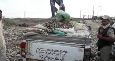ضبط طن أسماك مهربة من بحيرة ناصر بأسوان