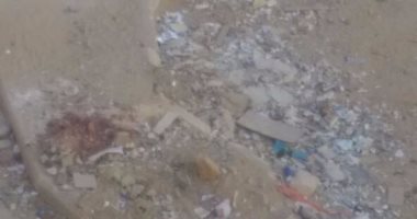أهالى النرجس بالتجمع الخامس يشكون من تراكم القمامة وانتشار الكلاب الضالة