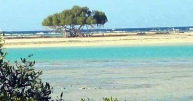 بالصور.. شاهد جمال شواطئ القلعان التابعة لمحمية وادى الجمال بمرسى علم