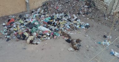 شارع الساحة الشعبية بأسيوط يتحول إلى مقلب قمامة