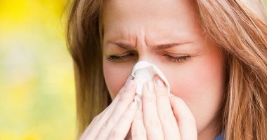 حشرة الفراش تنمو فى الرطوبة وتسبب الحساسية.. خطوات التخلص منها
