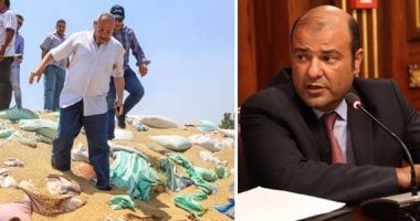 رئيس لجنة تقصى حقائق القمح: حنفى أقيل والحكومة لا تتحمل مسئولية الفساد