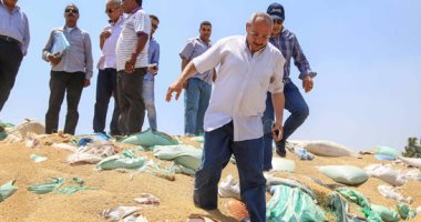 المشدد 10 سنوات لأمين ومالك شونة ببنى سويف وغرامة 73 مليونا بقضية فساد القمح