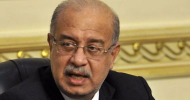 الحكومة: تطبيق الإصلاح الاقتصادى تدريجيا ولا تسعيرة جبرية على السلع والخدمات