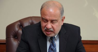 رئيس الوزراء يصدر قرارا باعتبار أراضى بالشرقية والوادى الجديد أثرية