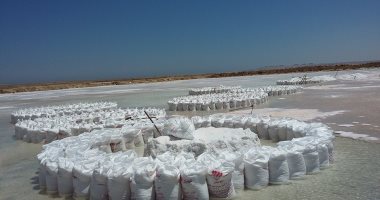 ضبط ملح طعام غير صالح للاستهلاك وأعلاف حيوانية ومخللات فى حملة بالغربية
