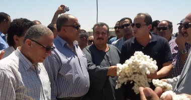 بالصور.. وزير الزراعة يفتتح موسم جنى القطن ببنى سويف.. ويؤكد: الحديث عن الاكتفاء الذاتى من القمح حلم يصعب تحقيقه.. والدورة الزراعية لن تطبق إلا بتفعيل دور الجمعيات التعاونية.. ولا تصالح مع المتعدين