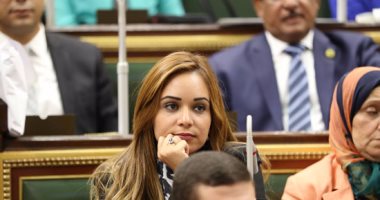 طلب مناقشة عامة بالبرلمان للتصدى لظاهرة مصانع بير السلم