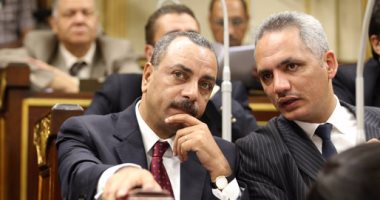 تباين آراء النائبات فى مشروع الحكومة حول عقوبة ختان الإناث.. إيناس عبد الحليم تطلب حملة توعية.. مرفت موسى تطرح تغليظ العقوبة.. إليزابيث شاكر: يجب معاقبة الأهل.. ونائب: إعفاء الأهل ومحاسبة الطبيب