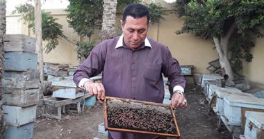 بالصور..غلاء السكر يهدد صناعة عسل النحل بالغربية.. رئيس جمعية النحالين: المهنة فى خطر.. فاروق بدران: الأزمة مفتعلة من التجار.. و3 آلاف جنيها ارتفاع فى 10 أيام