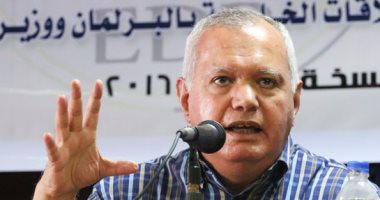 رئيس لجنة العلاقات الخارجية بالبرلمان: أداء النواب غير مرضٍ