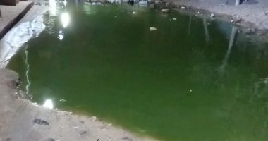 بالصور.. مياه الصرف الصحى تغرق شوارع حى البولاقى فى الخانكة.. الأهالى: أطفالنا أصيبوا بأمراض عديدة بسبب انتشار الحشرات والمجارى تهدد منازلنا بالانهيار.. ويطالبون محافظ القليوبية بحل الأزمة