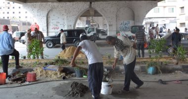"حلوة يا بلدى" تتنظم حملة نظافة بالمنصورة