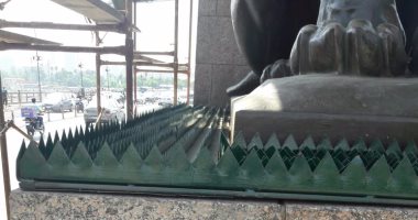 بالصور.. حديد شائك لحماية أسدى قصر النيل من عبث المراهقين