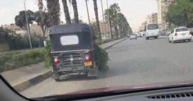 "توك توك" محمل بالبرسيم فى أهم شارع سياحى بمصر